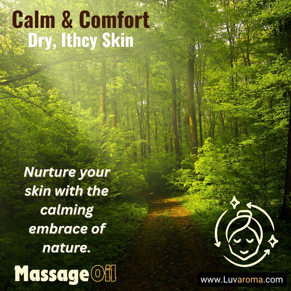 Calm & Comfort